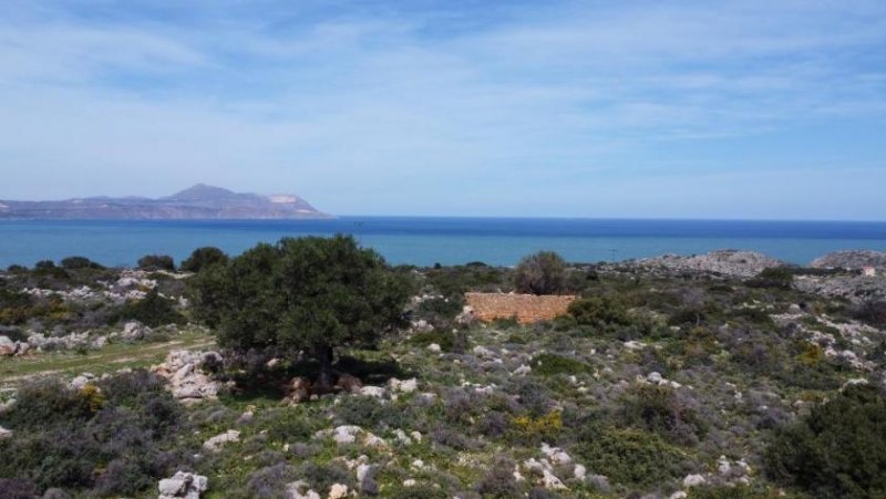 Kokkino Chorio Kreta, Kokkino Chorio: Malerisches Gelände mit Panoramablick aufs Meer zu verkaufen Grundstück kaufen